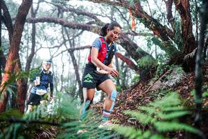 BIB: 
                            <button type="button" onclick="openModal(26295236)" class="btn btn-primary btn-sm float-right btn-popup" data-toggle="modal" data-target=".modal-high-quality">
                        <i class="fas fa-shopping-cart"></i> Add to Cart
                    </button>
                                            <button type="button" onclick="isThisMe(26295236, true)" class="btn btn-success btn-sm float-right btn-popup btn-isme hidden" data-toggle="tooltip" data-placement="bottom" title="นี่คือรูปของคุณใช่ไหม คลิกที่นี่เพื่อเอาเข้าอัลบั้ม">
                        <i class="fas fa-plus"></i> Add to album
                    </button>
                    <button type="button" onclick="isThisMe(26295236, false)" class="btn btn-warning btn-sm float-right btn-popup btn-isnotme hidden">
                        <i class="fas fa-ban"></i> Remove from album
                    </button>